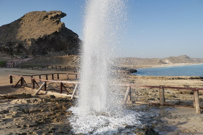 Salalah City Tour + West Coast Combo (Mughsail Beach, Blowholes) - Key Points