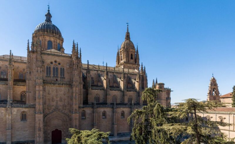 Salamanca: Cathedral of Salamanca Ticket With Audio Guide - Audio Guide and Languages