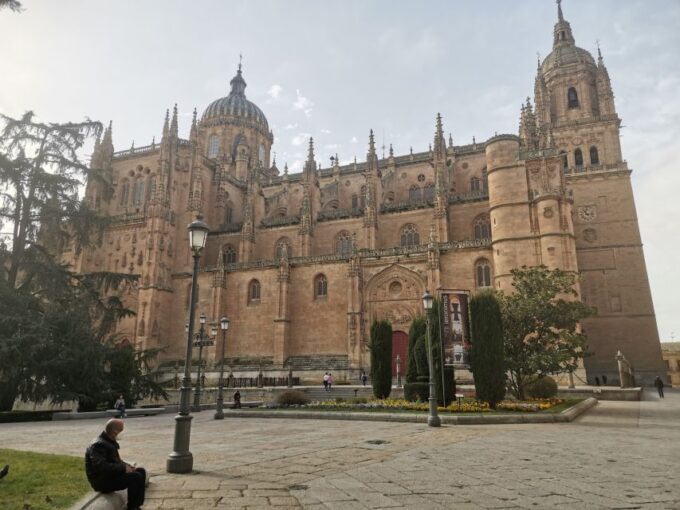Salamanca: Monuments and Landmarks Guided Walking Tour - Visiting the University of Salamanca