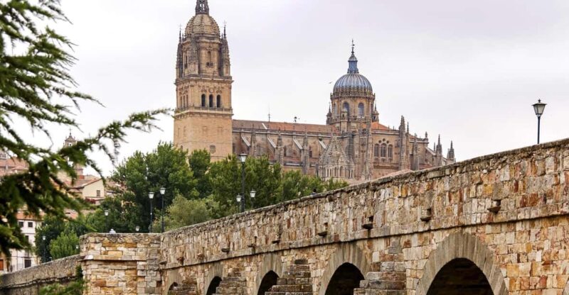 Salamanca - Old Town Private Walking Tour - Key Points