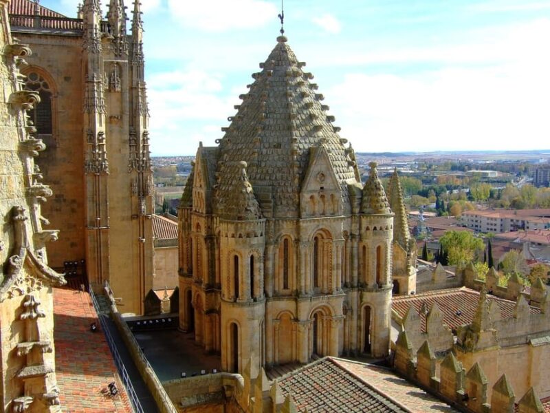 Salamanca - Old Town Private Walking Tour - Inclusions and Additional Information