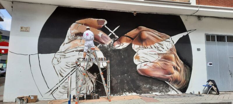 Salamanca: Private Guided Street Art Walking Tour - Highlights of the Tour