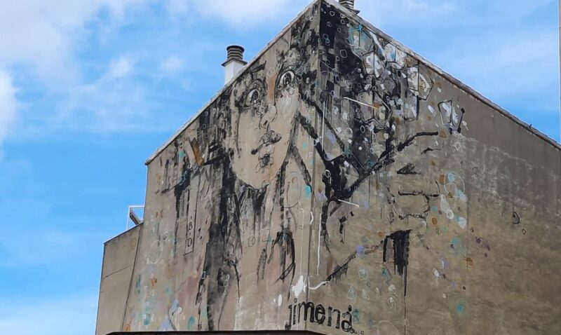 Salamanca: Private Guided Street Art Walking Tour - Tour Itinerary