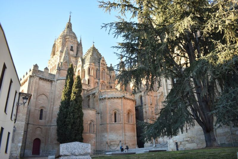 Salamanca: Private Sightseeing & Cultural Walking Tour - Meeting Points