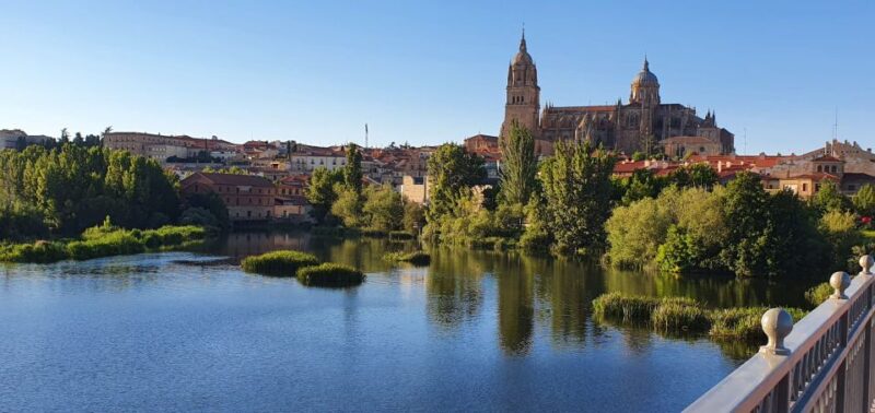 Salamanca: Private Tour of the Most Important Sites - Cathedral of Salamanca