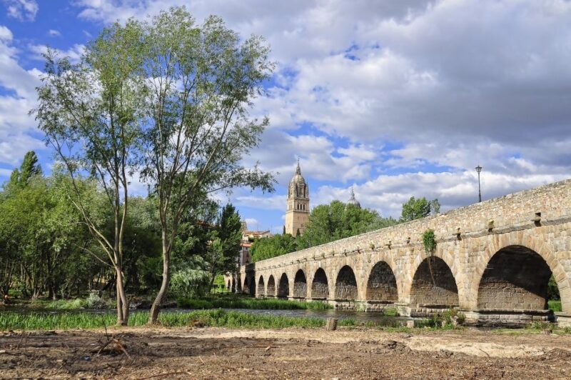 Salamanca: Private Tour With a Local - Taking in Salamancas Rich History