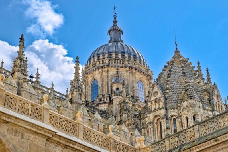 Salamanca: Private Walking Tour With a Local Guide - Highlights of the Walking Tour