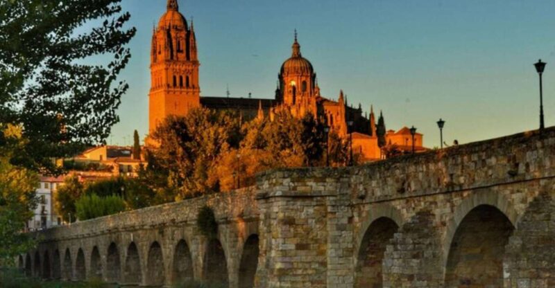 Salamanca: Private Walking Tour With a Local Guide - Customizable Tour Options