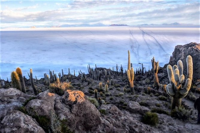 Salar De Uyuni (1 Day) - Spanish Speaking Guide - Train Cemetery Exploration