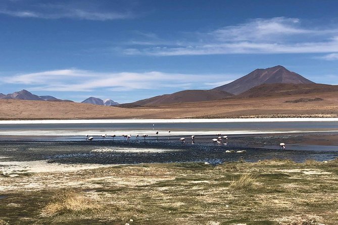 Salar De Uyuni. 2 Days 1 Night. Spanish Guide. Volcan Tunupa Route. Private Tour! - Cancellation Policy