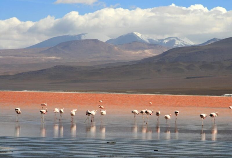 Salar De Uyuni (3 Days) Spanish-Speaking Guide - Day 1 Highlights