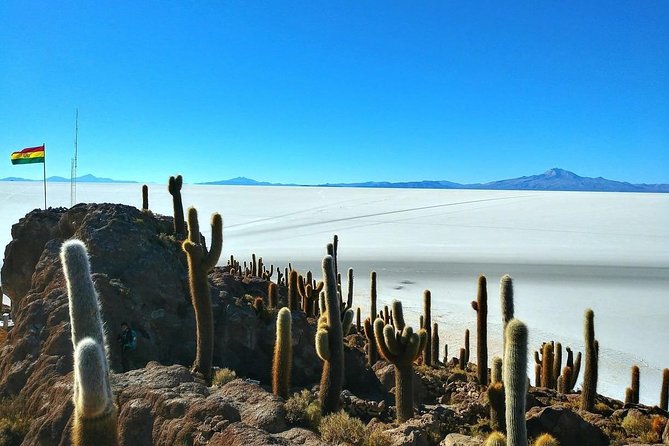 Salar De Uyuni (3 Days) Spanish Speaking Guide - Transportation and Logistics