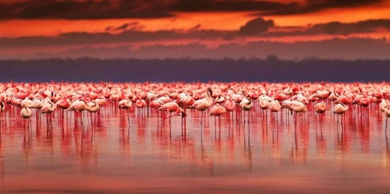 Salar De Uyuni 3d/2n+Transfer San Pedro De Atacama-English - Frequently Asked Questions