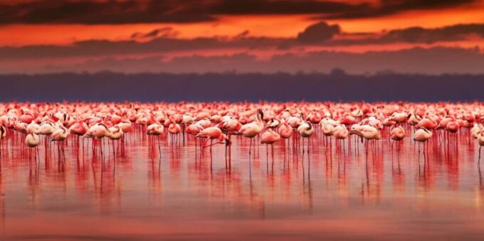 Salar De Uyuni 3d/2n+Transfer San Pedro De Atacama-English - Additional Costs