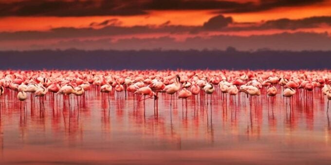 Salar De Uyuni 3d/2n+Transfer San Pedro De Atacama-English - Frequently Asked Questions
