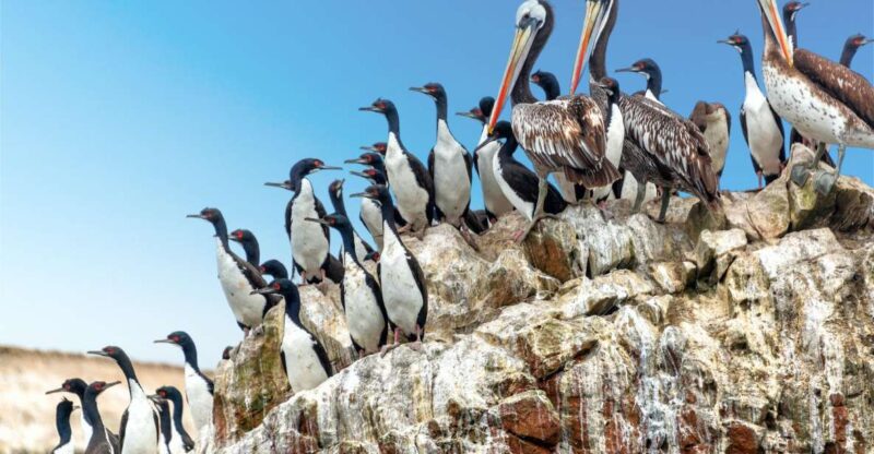 Salar De Uyuni (4 Days) - Guided Experiences