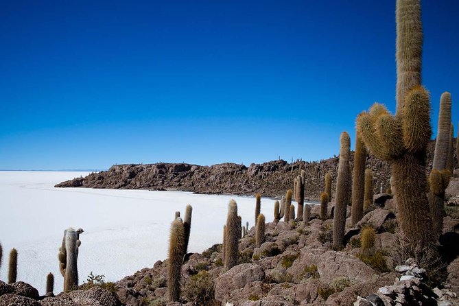 Salar De Uyuni (Classic 3 Days Trip) Spanish Guide - Experiencia En El Salar