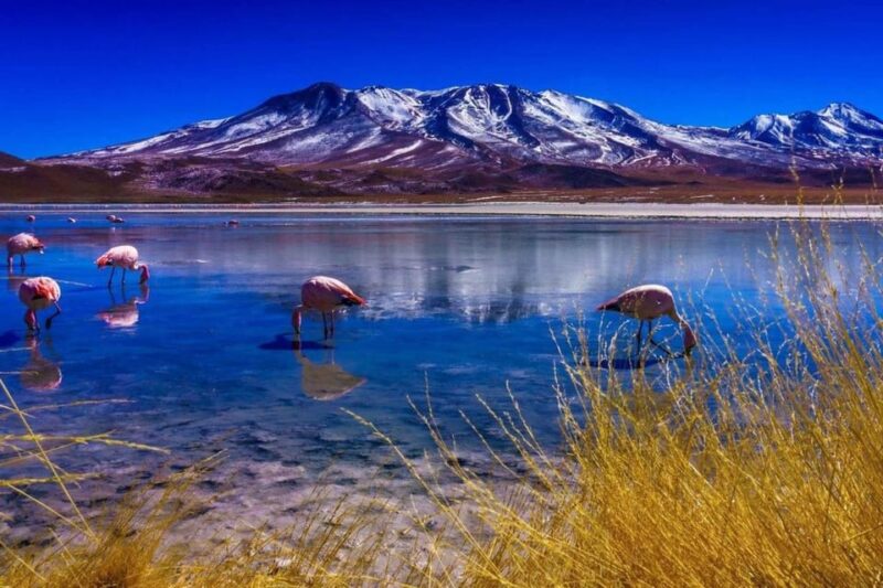 Salar De Uyuni (Classic 3 Days Trip) Spanish Guide - Key Points