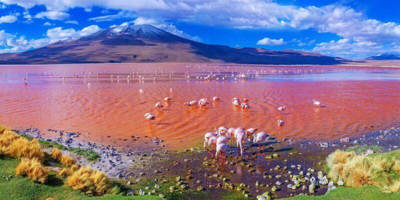Salar De Uyuni (Classic 3 Days Trip) Spanish Guide - Itinerary Highlights