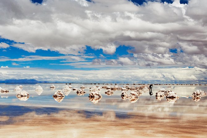 Salar De Uyuni (Day Trip) - Tour in Spanish - Museo De La Llama Y La Sal