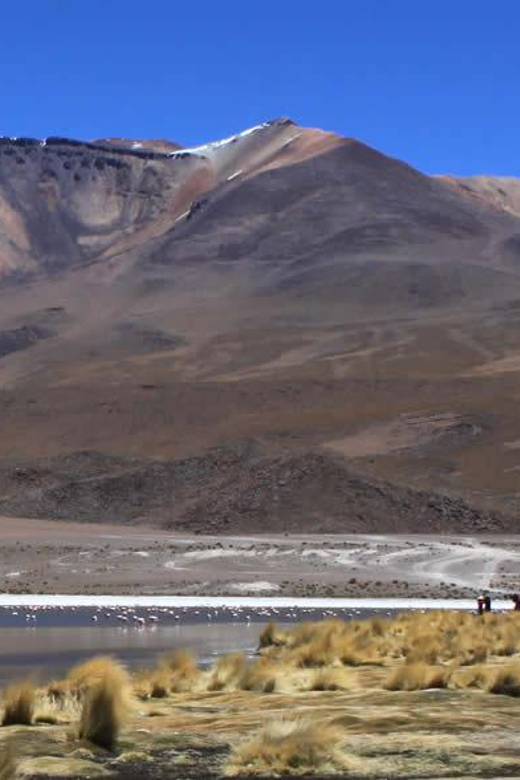 Salar De Uyuni Tour 3d/2n /Colorful Lagoon/Geiser/Flamingos - Tour Highlights
