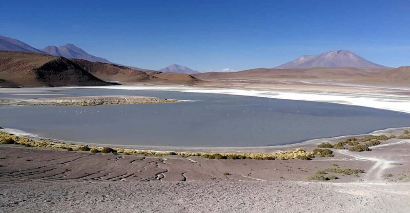 Salar De Uyuni Tour 3d/2n /Colorful Lagoon/Geiser/Flamingos - Day-by-Day Itinerary