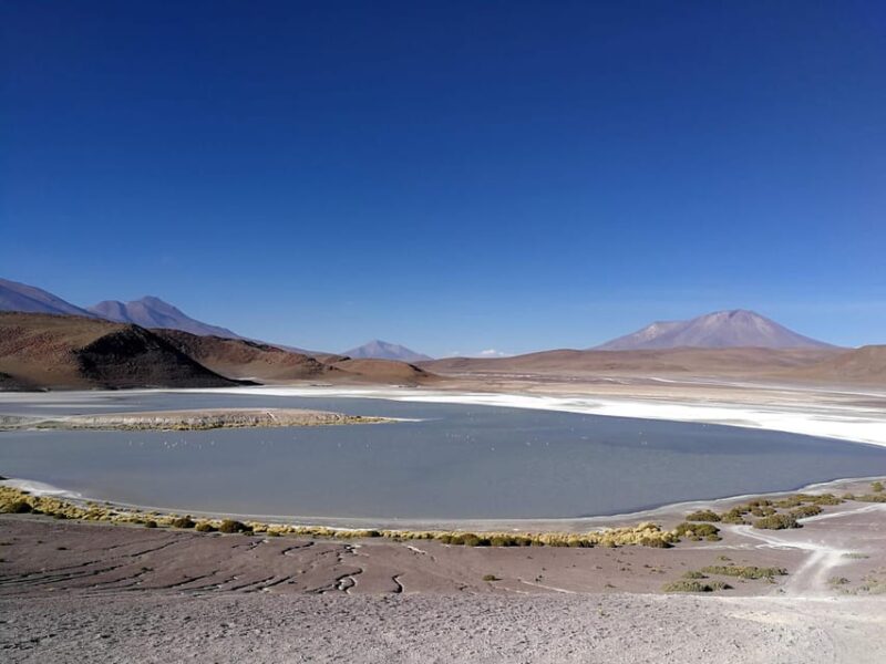 Salar De Uyuni Tour 3d/2n /Colorful Lagoon/Geiser/Flamingos - Group Details