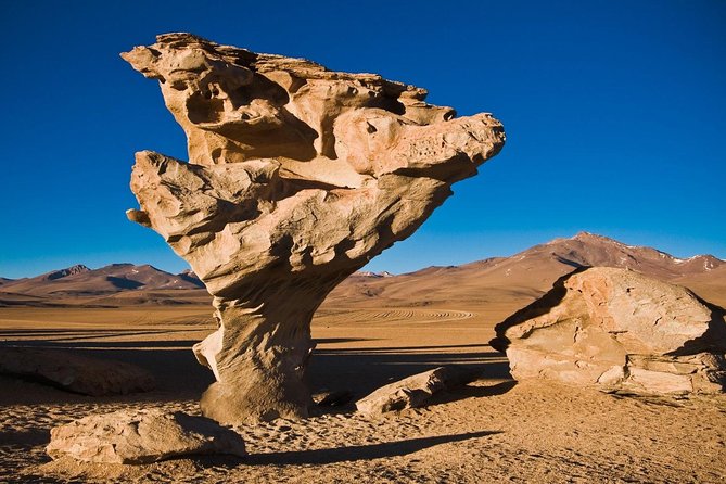 Salar De Uyuni With Lodging - 2 Full Days - With Minor Lagoons - Pricing and Booking Details