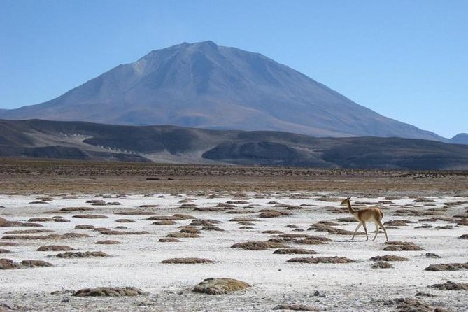 Salar De Uyuni With Lodging - 3 Full Days - With Lagoons - Tour Overview