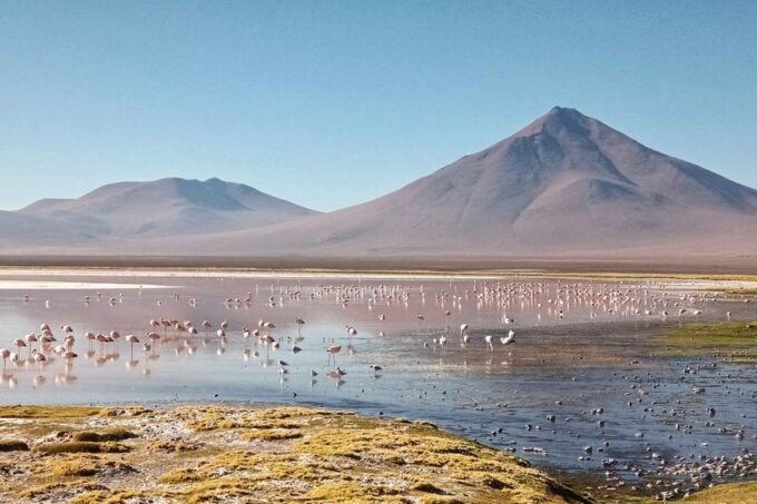 Salar Uyuni 3D With English Guide, Private Accommodation. - Customization and Flexibility