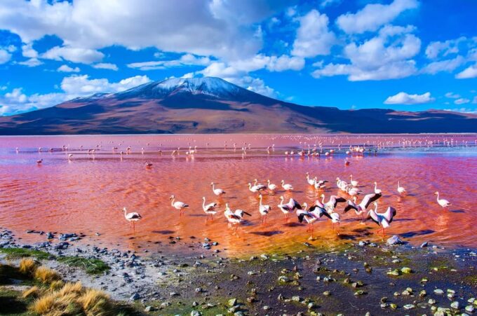 Salar Uyuni, Accommodation - Complete 2D - Lagunas Menores - Lagunas Menores