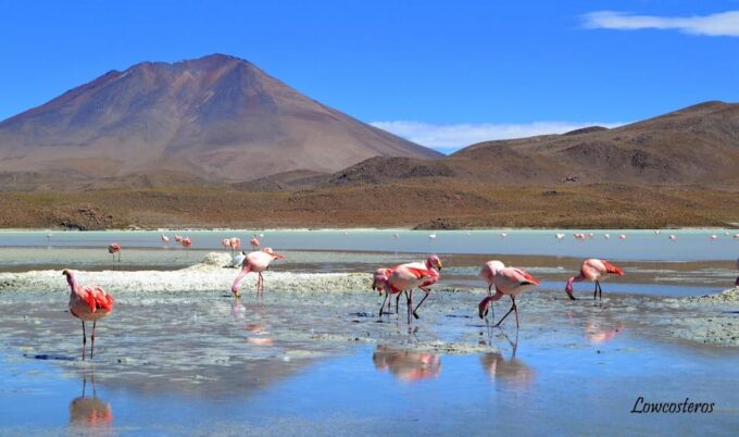 Salar Uyuni: Private Rooms 3D 2N and Maximum 4 Passengers - Additional Costs