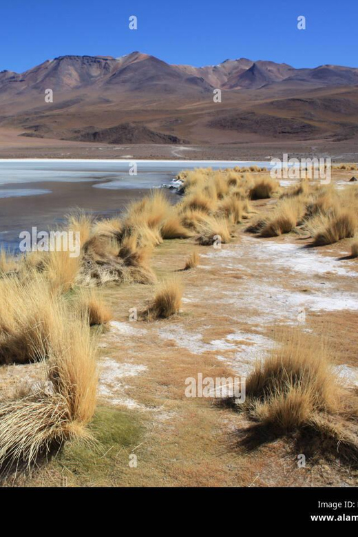 Salar Uyuni Route Lagoons Guide Spanish 2D 1n. Private Tour! - Itinerary - Day 2