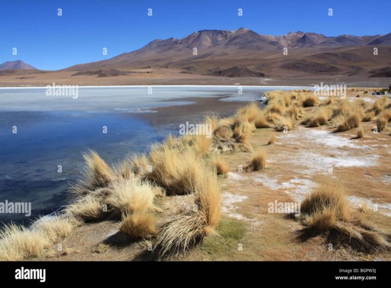 Salar Uyuni Route Lagoons Guide Spanish 2D 1n. Private Tour! - Included Meals