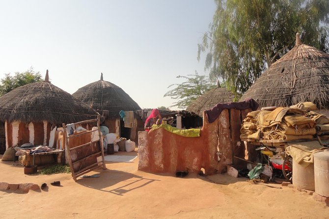 Salawas Village Safari (Jodhpur) - Tribal Community | Durry Weaving | Rural Walk - Traveler Reviews