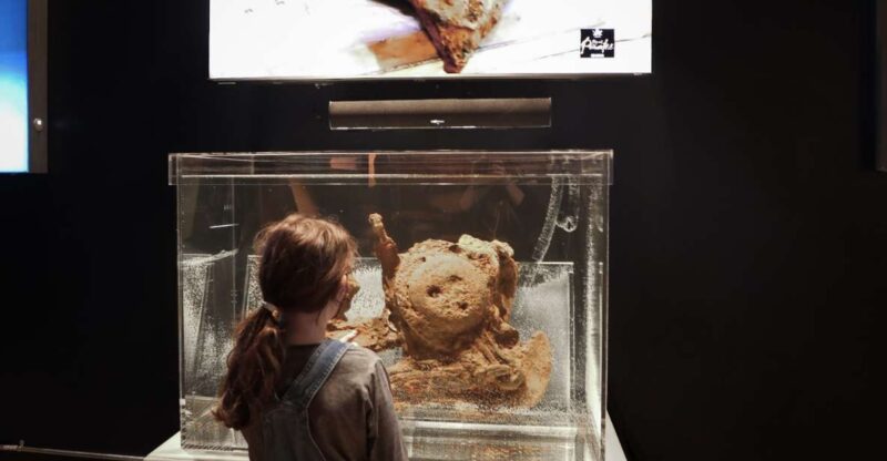 Salem: Pirate Museum With Authentic Treasures Entry Ticket - Additional Features