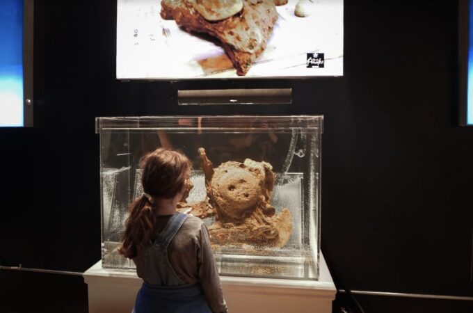 Salem: Pirate Museum With Authentic Treasures Entry Ticket - Real-Time Archaeological Digs