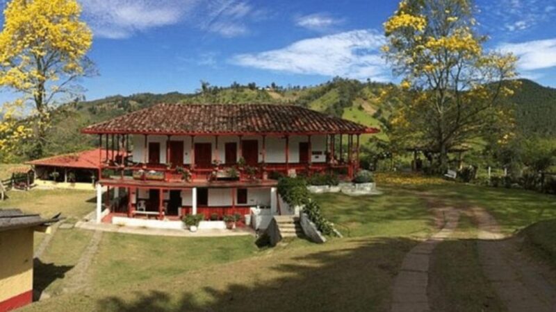 Salento and Cocora Tour + Coffee Farm From Pereira/Armenia - Experience Highlights