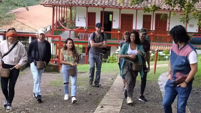 Salento and Cocora Tour + Coffee Farm From Pereira/Armenia - Inclusions and Exclusions