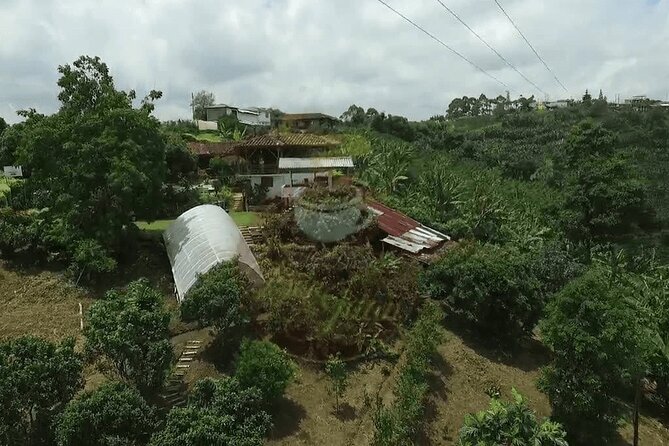 Salento and Cócora Tour Plus Coffee Farm From Pereira or Armenia - Valle Del Cócora Experience