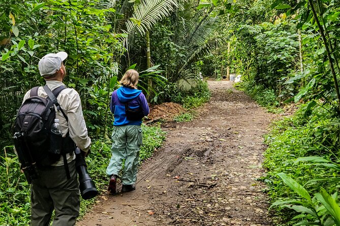 Salento: Birding Along the Torrent River - Exploring the Torrent River