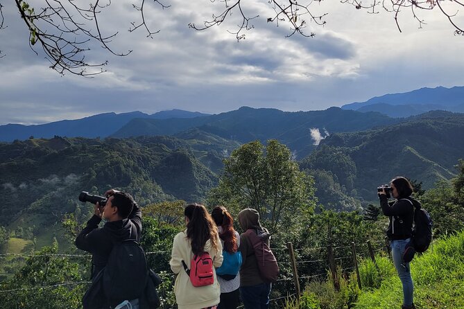 Salento: Birding Route of the Raptors - Exploring the Birding Route