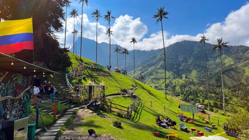 Salento, Cocora and Filandia Full Plan From Pereira/Armenia - Highlights and Inclusions