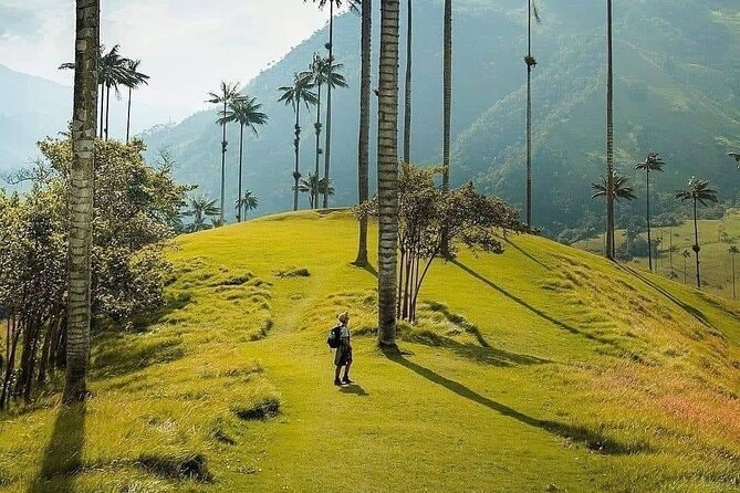 Salento, Cocora and Filandia Private Tour From Pereira or Armenia - Inclusions and Customization