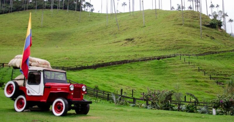 Salento, Cocora and Filandia Tour From Pereira or Armenia - Customer Feedback