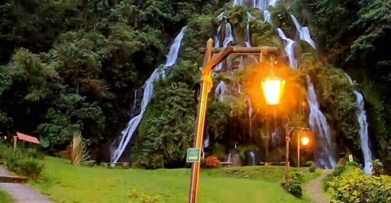 Salento, Cocora and Hot Springs Tour From Pereira or Armenia - Key Points