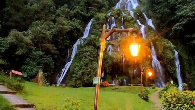 Salento, Cocora and Hot Springs Tour From Pereira or Armenia - Important Information