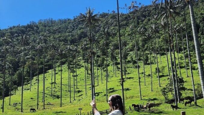Salento, Cocora and Hot Springs Tour From Pereira or Armenia - Cancellation and Payment