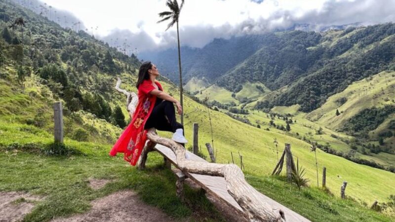 Salento, Cocora and Hot Springs Tour From Pereira or Armenia - Itinerary and Activities