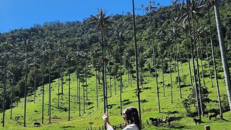 Salento, Cocora and Hot Springs Tour From Pereira or Armenia - Inclusions